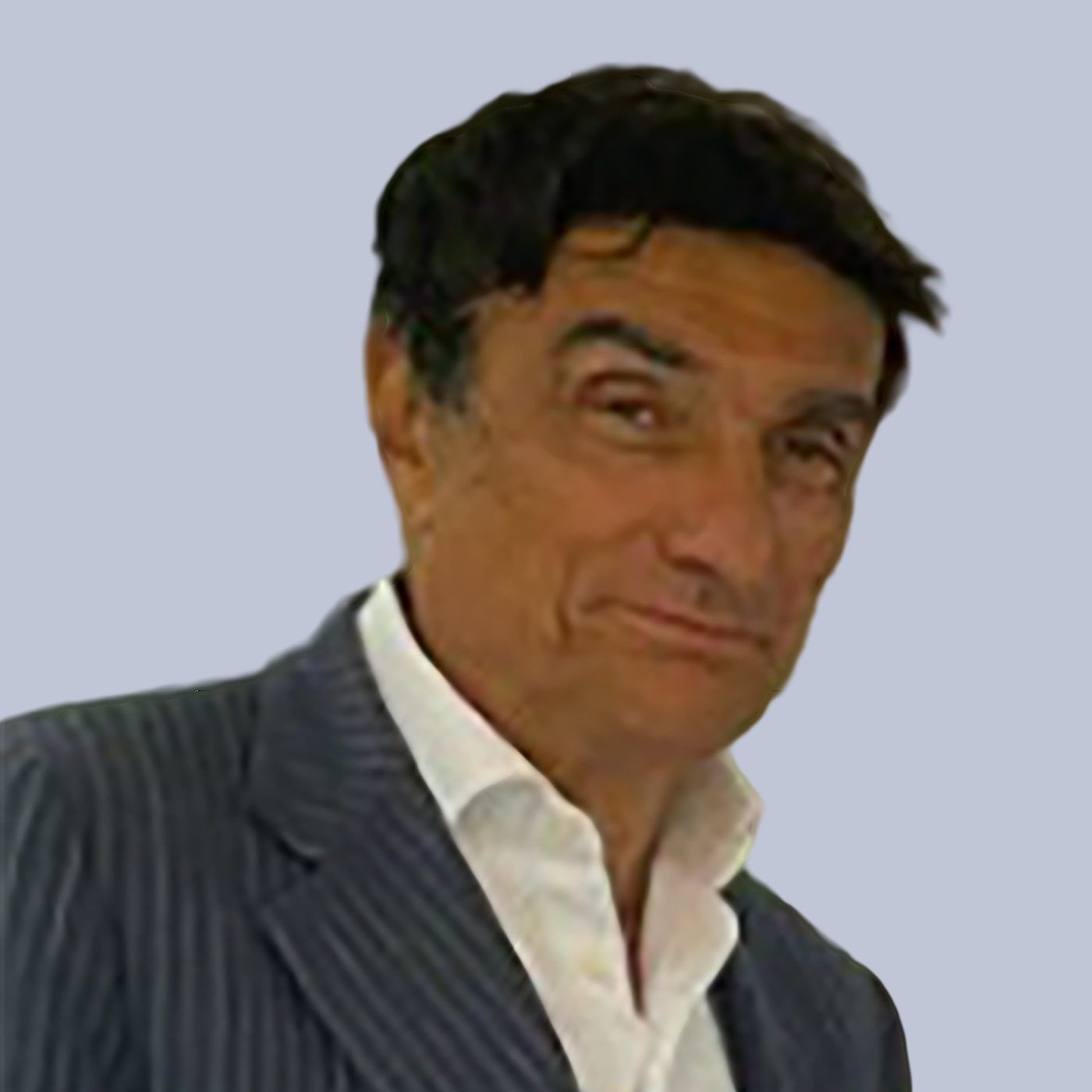 Foto di manzi