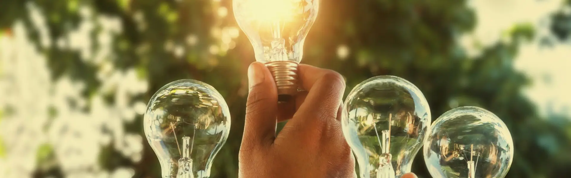 mani che sollevano lampadine