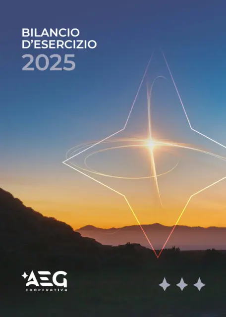 Download Bilancio d'esercizio AEG COOP 2025